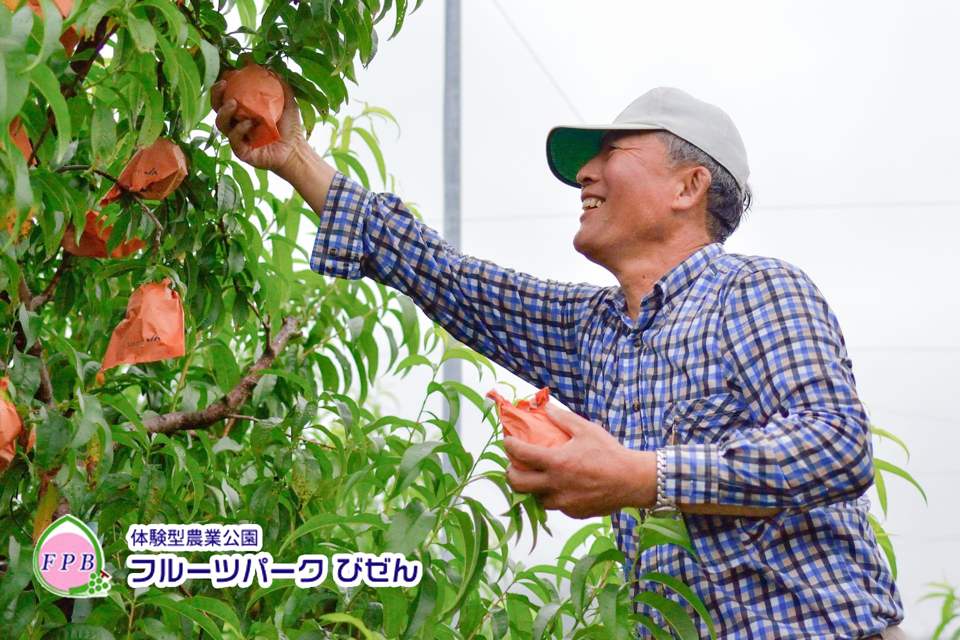 フルーツパークびぜん - 体験型農業公園